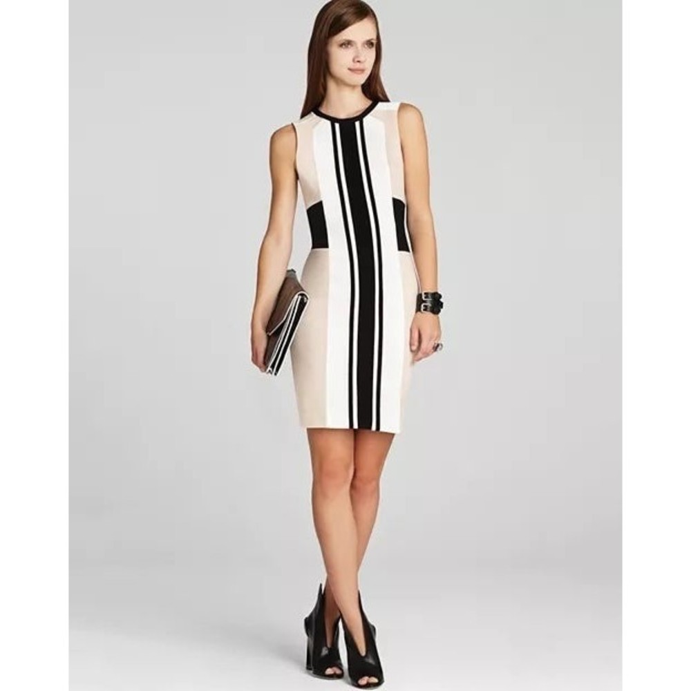 BCBG Colorblock sheath dress